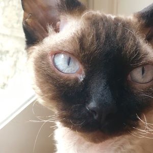 Meet your Posher, Jasmine